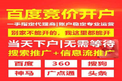 百度竞价排名案例分析：提升网站流量与转化率
